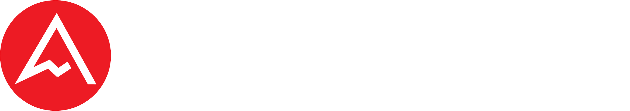 Pinnacle Business Guides logo